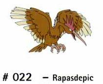 N 022 Rapasdepic